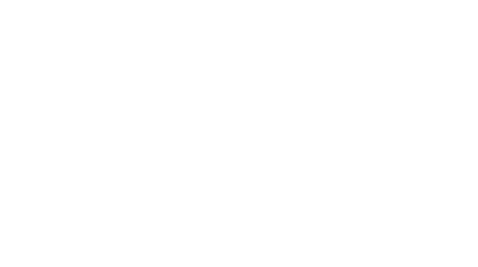 FARO INSIGHT BALTS